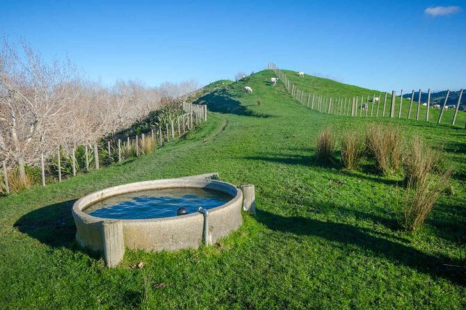 Duder Regional Park Half-Day Walking Tour - Final Thoughts