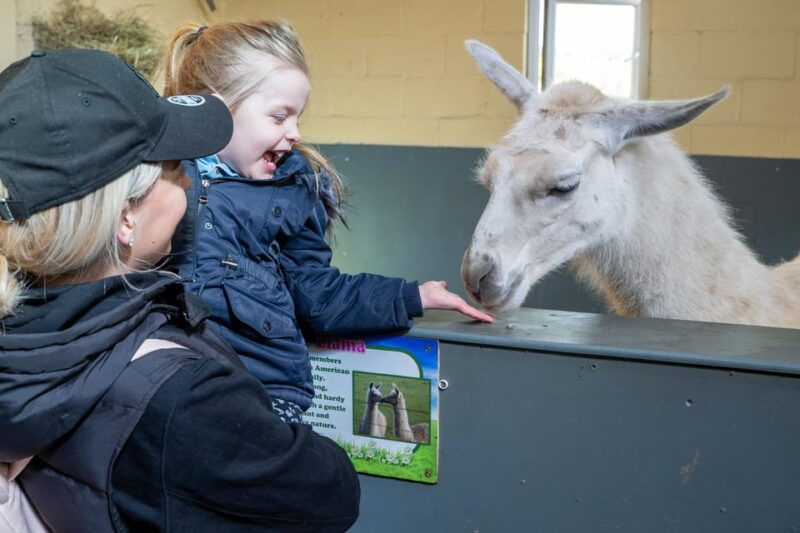 durham-adventure-valley-farm-park-entry-ticket