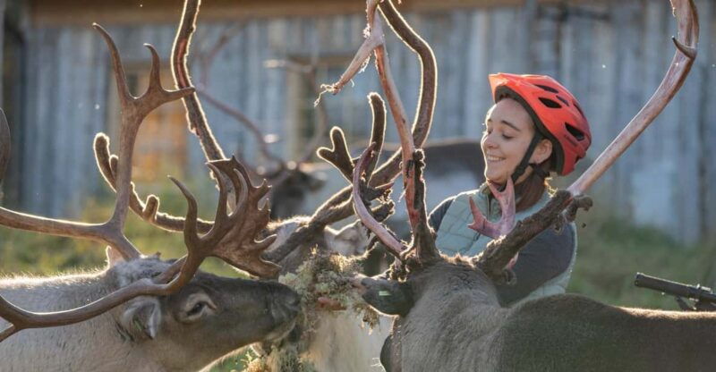 e-fatbike-trip-to-the-reindeer-farm