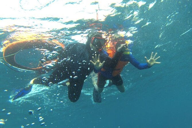 Early Bird Speedboat Group Tour : Explore Komodo Ahead of Crowds - Who Is This Tour Best For?