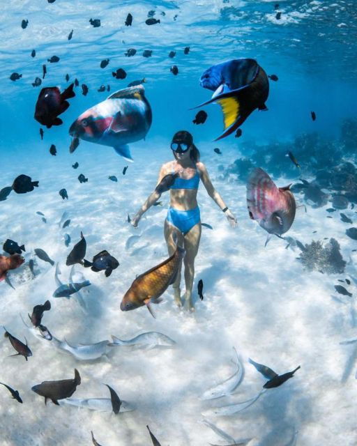 east-bali-blue-lagoon-snorkeling-all-inclusive