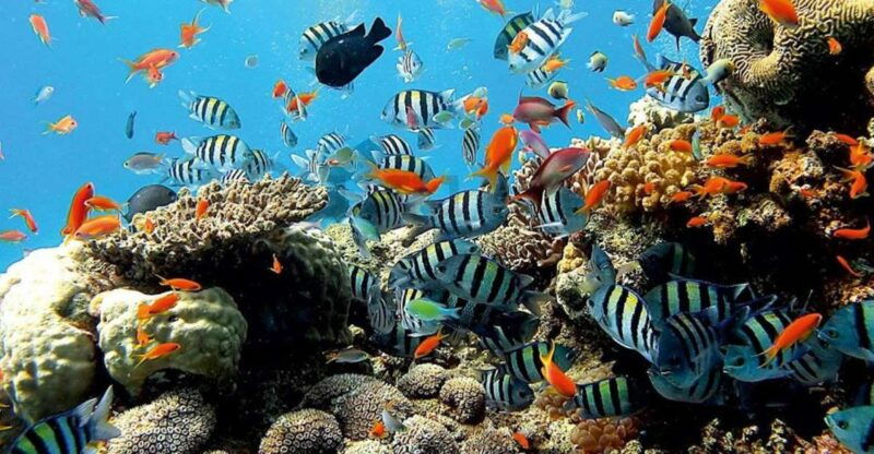 east-bali-snorkeling-canyoning-and-waterfall-day-trip