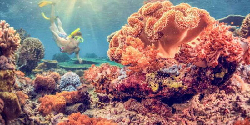 east-bali-snorkeling-day-trip-to-amed