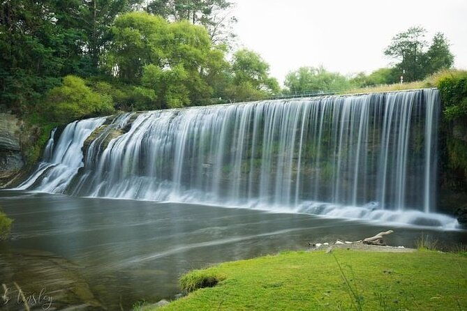 Eastwoodhill Arboretum and Rere Falls Private Tour. Gisborne Port - Authentic Insights from Previous Travelers