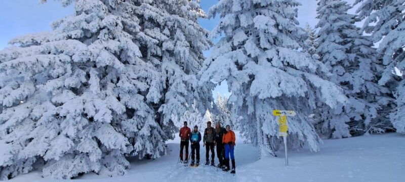 ehrwald-zugspitze-snowshoe-hiking-tour-with-mountain-views