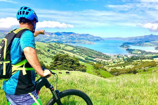 Electric Mountain Bike & Sea Kayak Tour in Akaroa - Who Will Love This Tour?