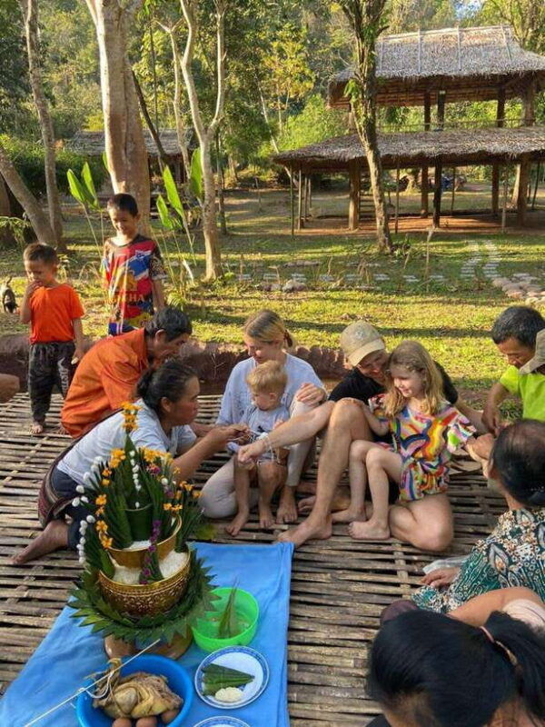 elephant-home-sanctuary-in-muang-thong-sayaboury-laos