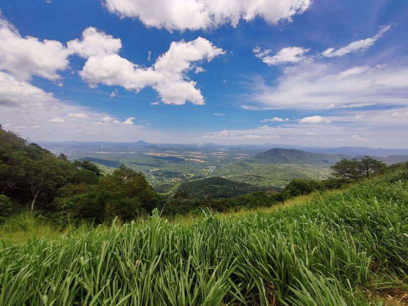 ella-guided-day-tour-with-tea-estate-visit
