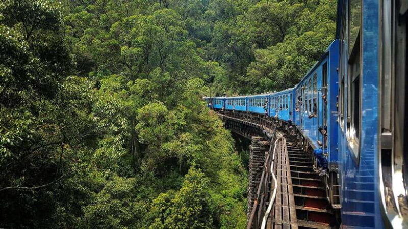ella-hill-country-tour-a-perfect-day-tour-in-sri-lanka