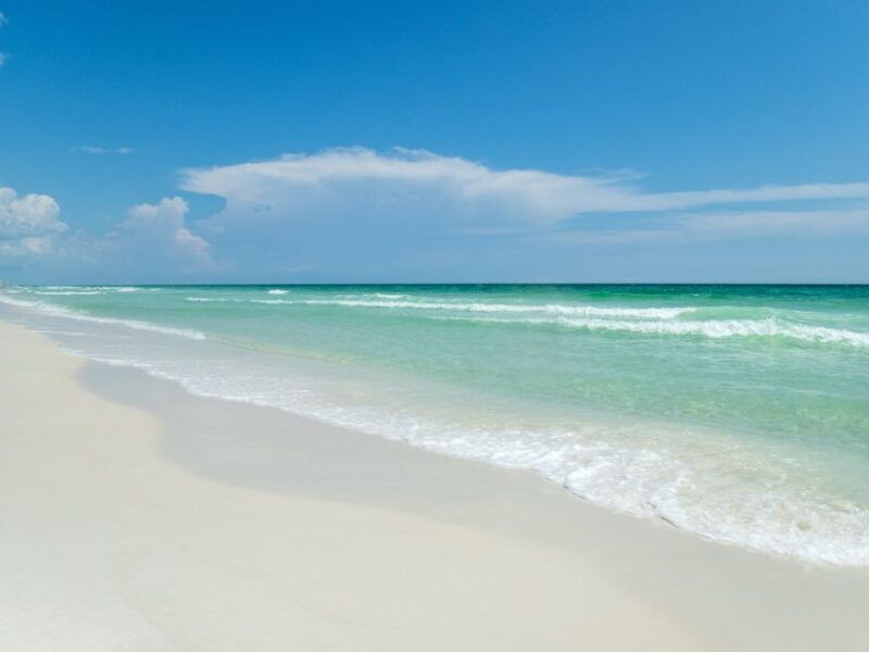 emerald-coast-afternoon-snorkel-dolphin-tour