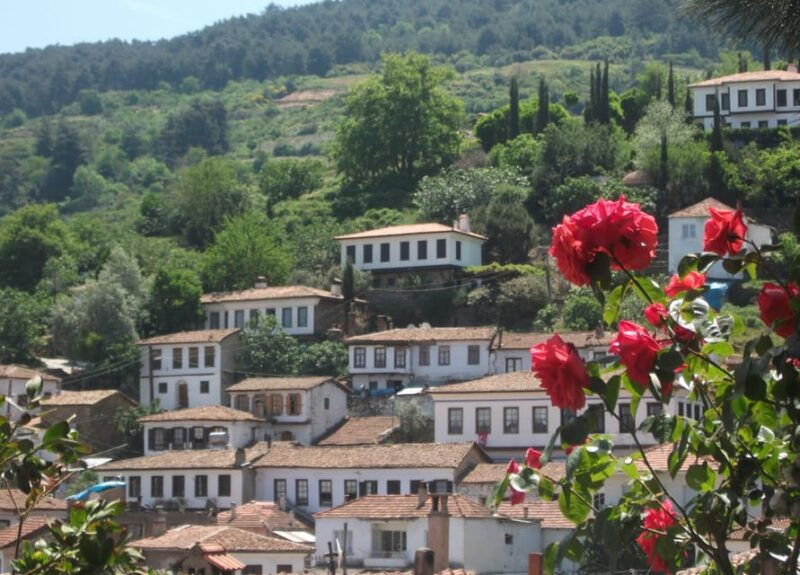 ephesus-and-sirince-tour-from-izmir-kusadasi