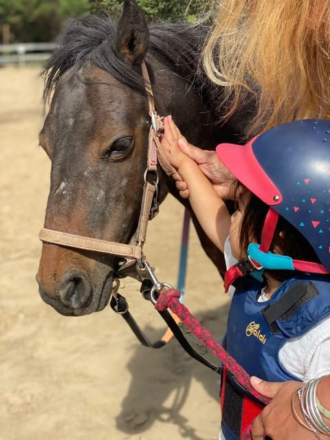 equestrian-tourism-experience