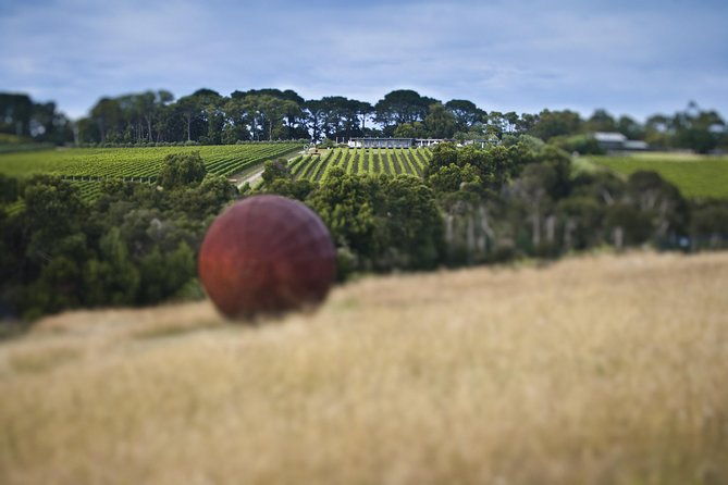 Estate to Plate: Montalto Vineyard Gourmet Lunch and Wine-Tasting Tour - Analyzing the Price and Value