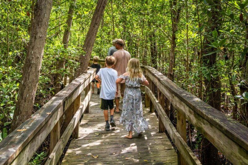 everglades-mangrove-maze-airboat-tour-and-boardwalk