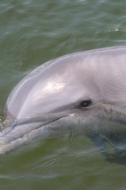 everglades-national-park-pontoon-boat-tour-boardwalk