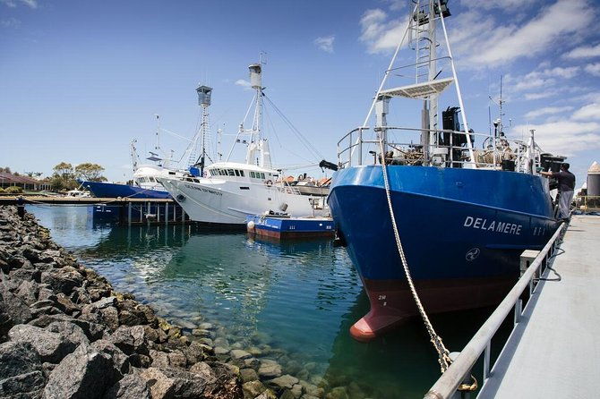 Exceptional Port Lincoln, Seafood and Wildlife Tour - Practical Aspects of the Tour