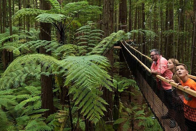 Exclusive Day Trip from Te Puia to Wine Tasting and Redwoods - FAQ