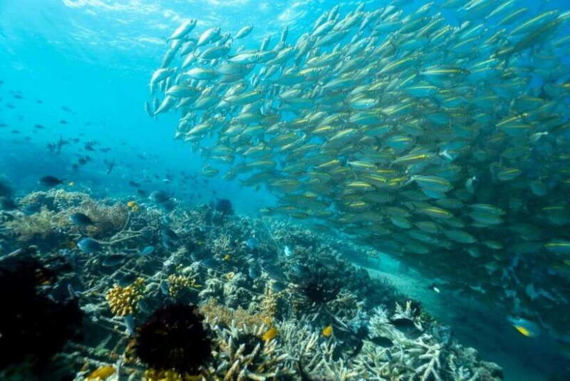 exclusive-gili-nanggu-sudak-and-kedis-tour-featuring-gopro