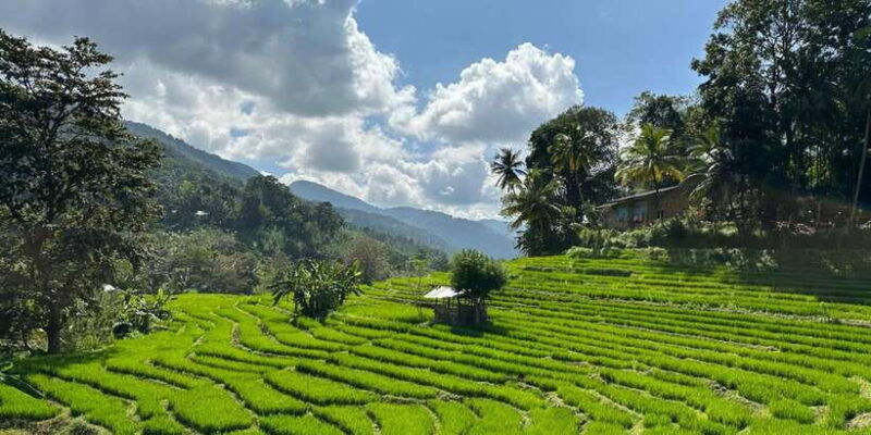 exclusive-knuckles-camping-tour-from-kandy