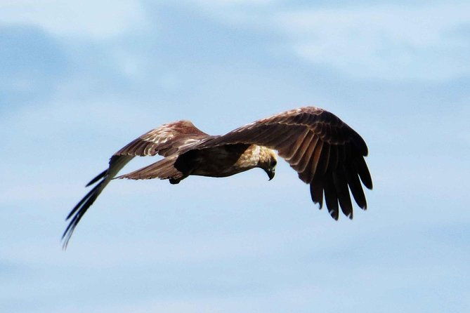 Exclusive : Muthurajawela Bird Watching Tour - The Value of the Tour