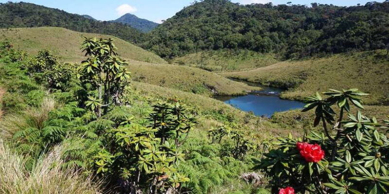 exclusive-nuawara-eliya-horton-plains-and-tea-factory-tour