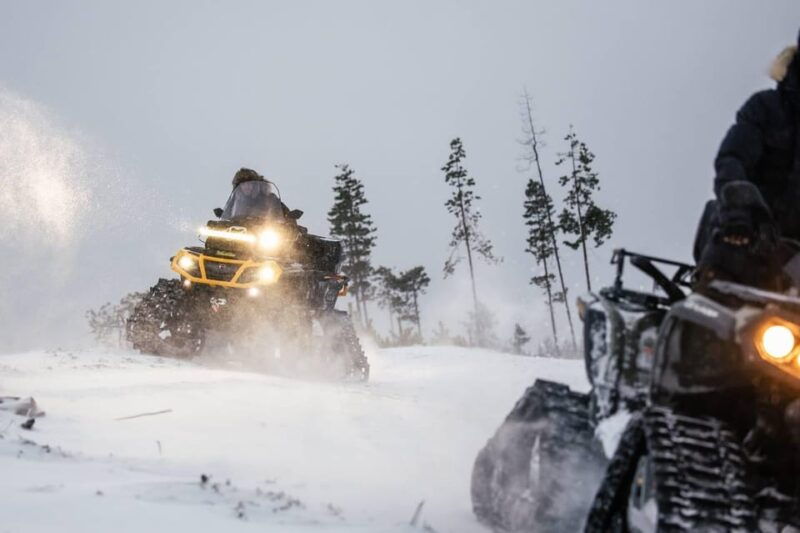 expedition-into-the-wild-safari-and-lunch-in-glass-igloo-2