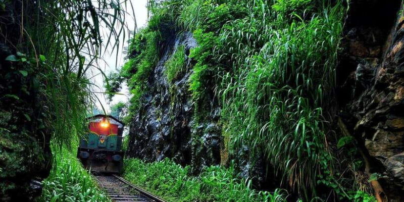 experience-authentic-sri-lankan-life-with-kasun