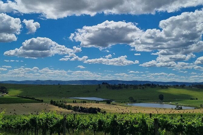 Experience Yarra Valley: A Tailored private Wine Journey - Who Will Love This Tour?
