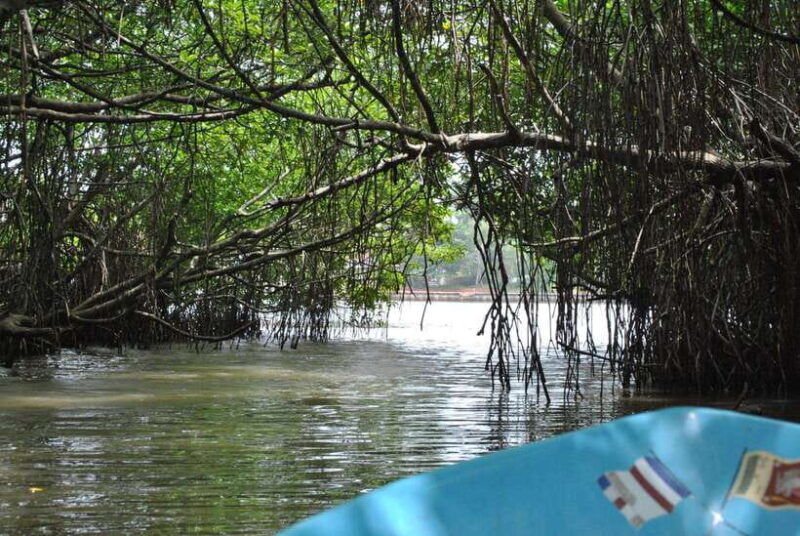 explore-bentota-riversafari-tour-with-hotel-pickupdrop-off