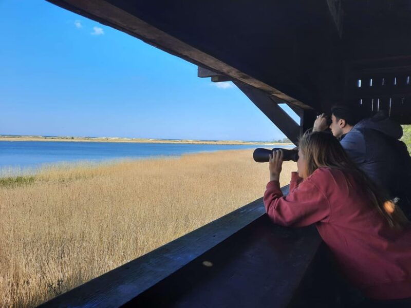 explore-sobieszewo-island-nature-walk-wildlife-tour