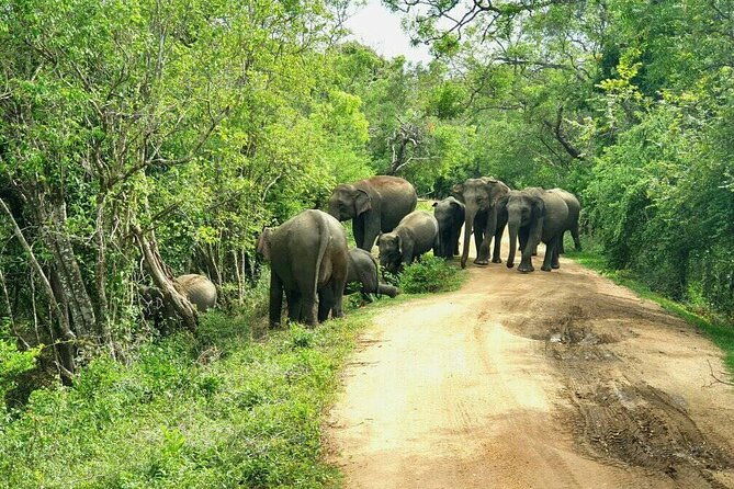 Explore Sri Lanka (self- arranged accommodation) - FAQ