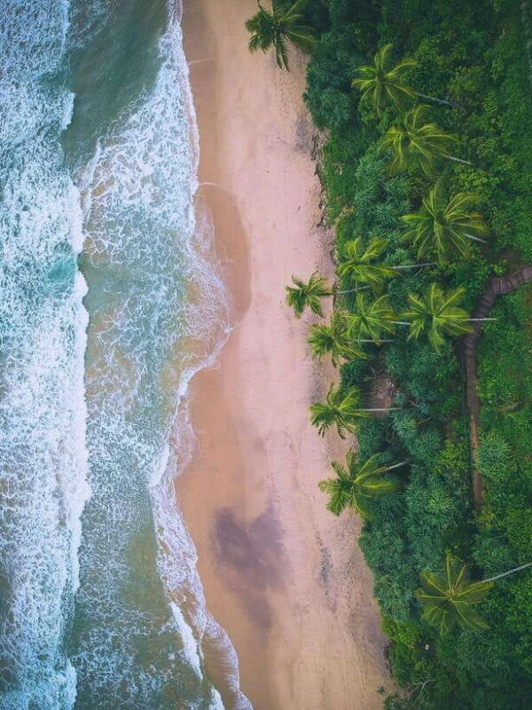explore-the-magic-of-sri-lanka-in-7days-4-star-hotels-incl