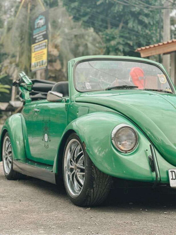 explore-ubud-with-volkswagen-beetle-safari-181