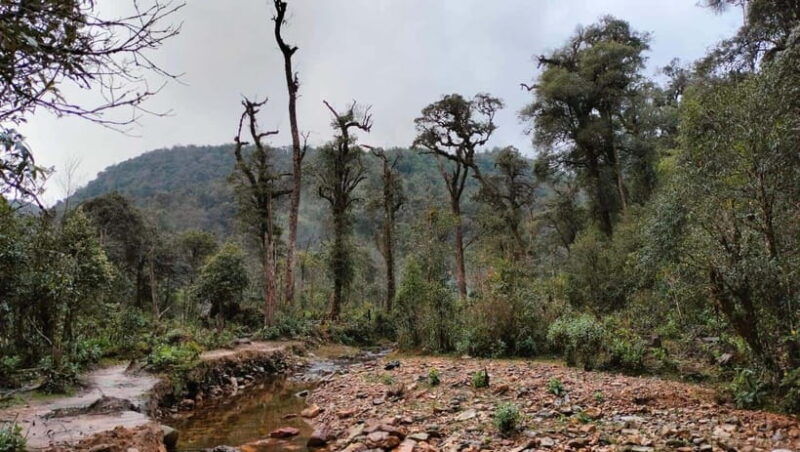 fansipan-mountain-1-day-trekking-tour