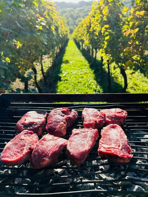 fantastic-wine-tour-in-diferent-wineries-great-hill