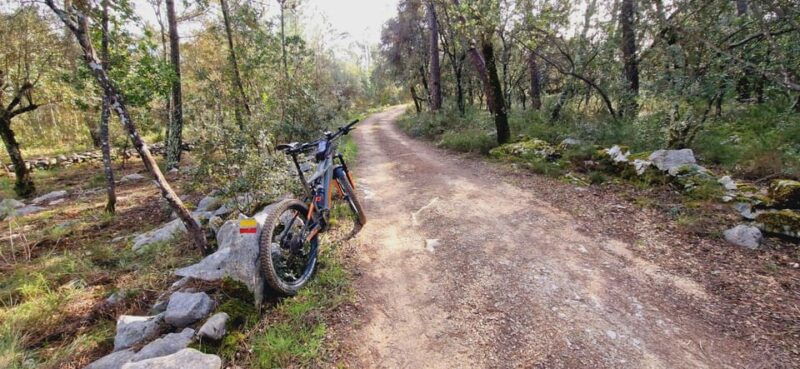 fatima-jurassic-footprints-e-bike-tour
