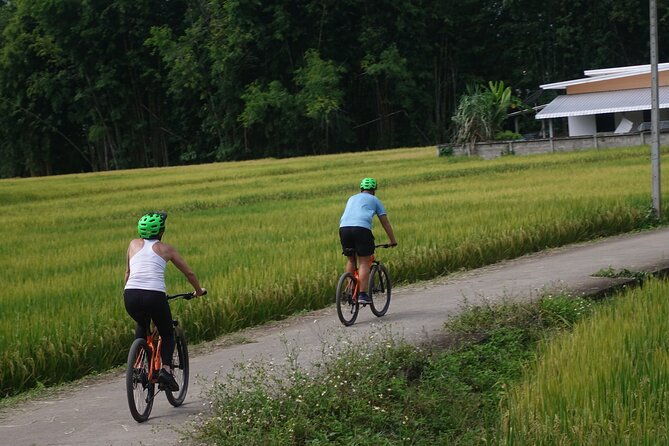 FIELDS OF GOLD Mountain Biking Tour Chiang Mai - FAQ