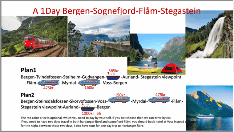 flam-flexible-tour-with-stegastein-cruise-and-train-include