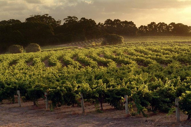 Flight to Leeuwin Winery for Lunch - FAQ