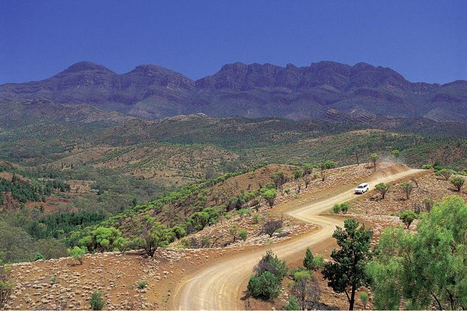 Flinders Ranges 3-Day Small Group 4WD Eco Tour from Adelaide - Who Will Love This Tour?