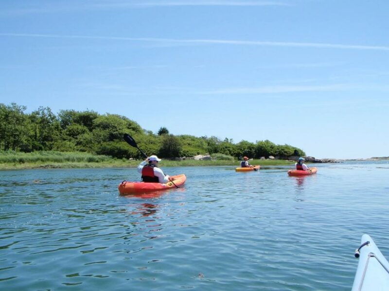 fort-myers-guided-kayak-or-sup-tour-in-pelican-bay