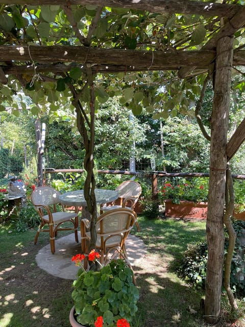 from-amalfi-amalfi-coast-tour-cooking-class-with-transfer