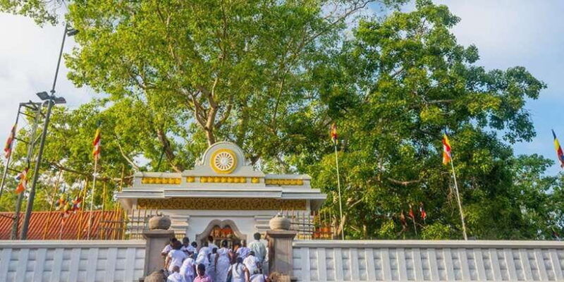 from-anuradhapura-ancient-city-of-anuradhapura-by-bike