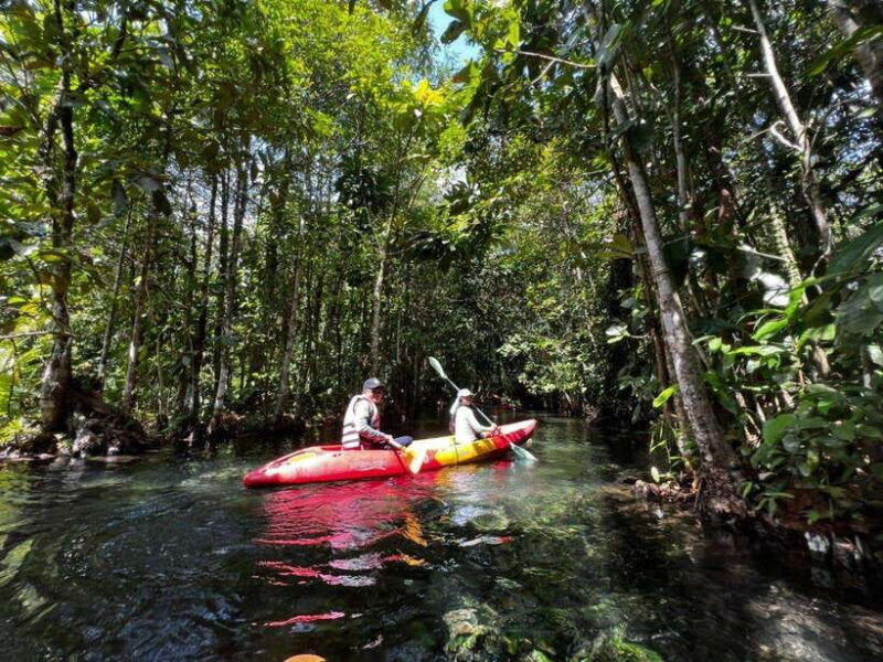 from-ao-nang-kayaking-at-klong-rud-with-hotel-transfers