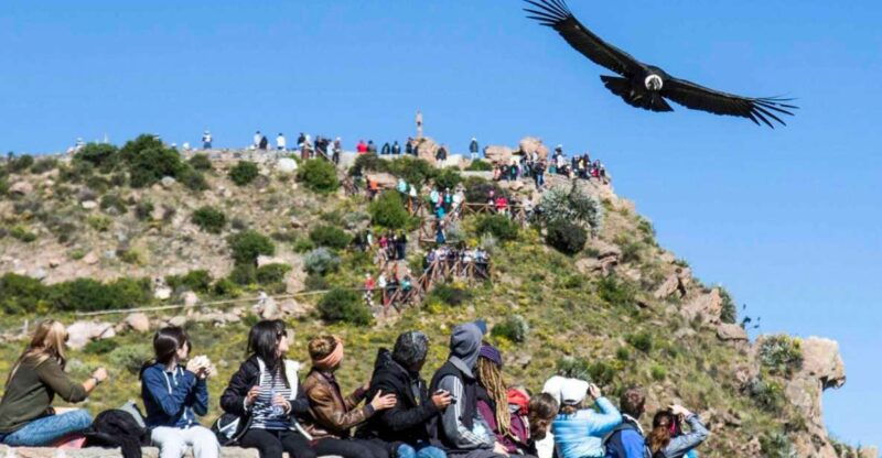 from-arequipa-full-day-colca-canyon-tour