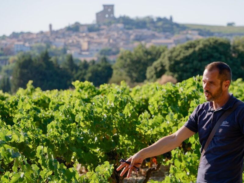 from-avignon-chateauneuf-du-pape-half-day-wine-tour
