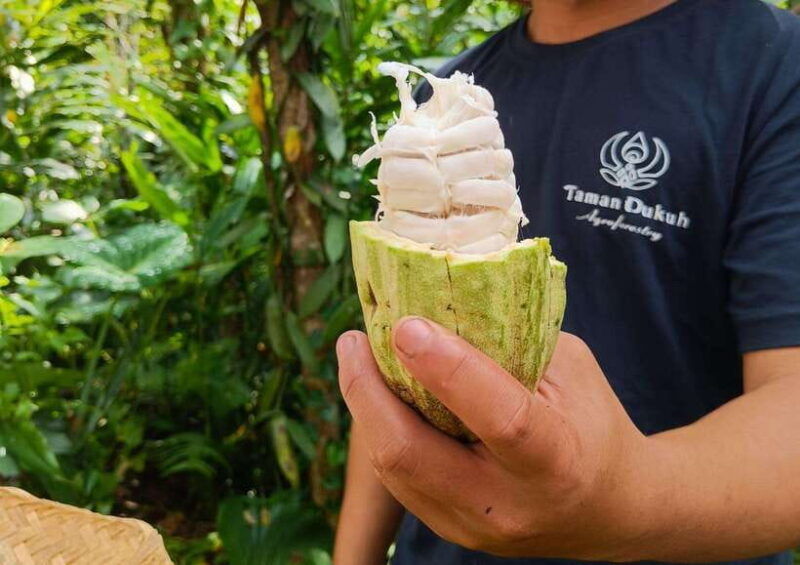 from-bali-cooking-class-at-ubud-organic-farm