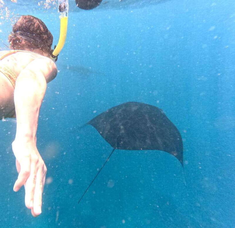 from-bali-nusa-penida-full-day-tour-and-snorkeling-3-spots