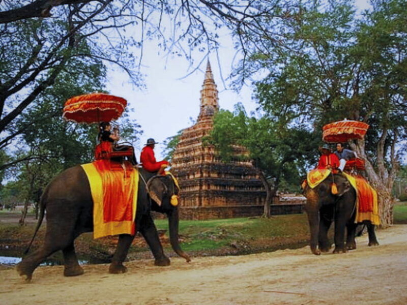 from-bangkok-ayutthaya-tour-elephant-palace-royal-kraal
