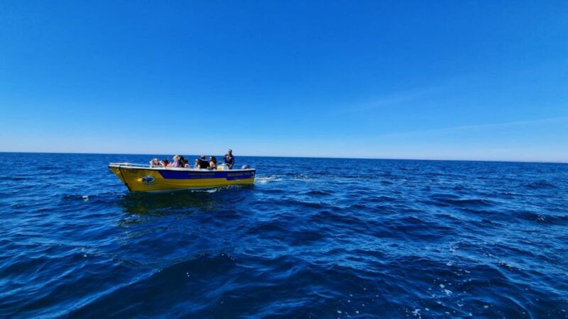 from-benagil-benagil-cave-marinha-beach-express-tour